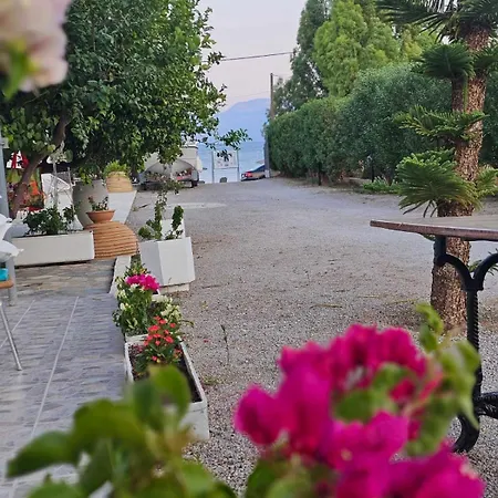 Oasis Ag Pantes