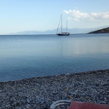 Lejlighed Oasis Ag Pantes