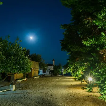 Oasis Ag Pantes