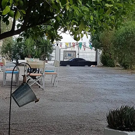 Oasis Ag Pantes