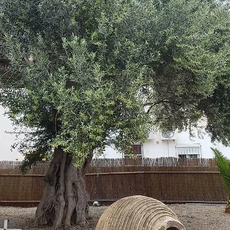 Oasis Ag Pantes Apartment